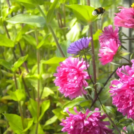 Gospodarstwo agroturystyczne Il Magicorto *