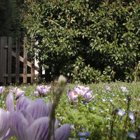 Il Magicorto בית חווה Cassola