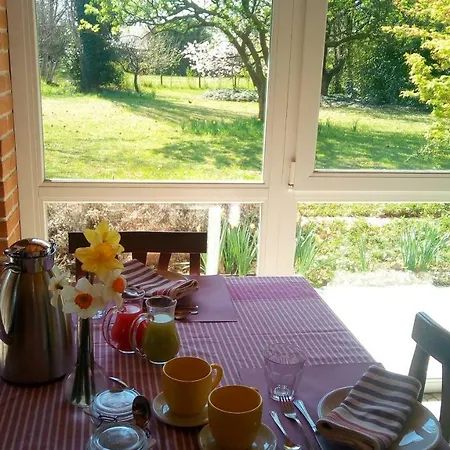 Il Magicorto * Cassola