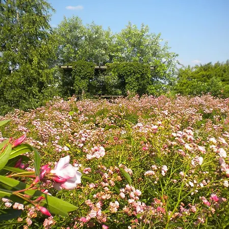 Vakantieboerderij Il Magicorto Cassola