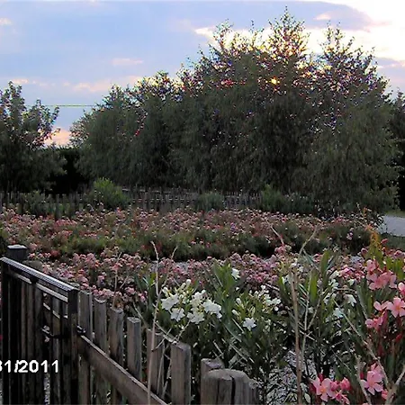 Vakantieboerderij Il Magicorto *